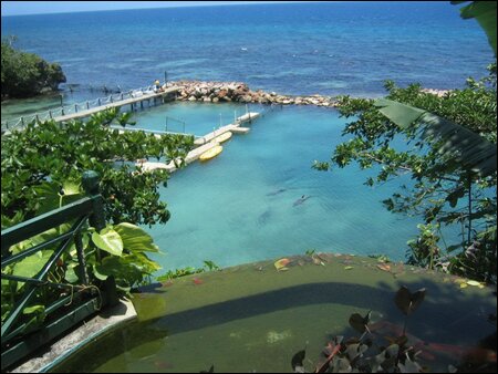 Sổ tay du lịch so tay du lich Sotaydulich Sotay Dulich Khampha Kham Pha Bui Ngam ca heo o Dolphine Cove o Jamaica