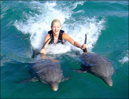 Sổ tay du lịch so tay du lich Sotaydulich Sotay Dulich Khampha Kham Pha Bui Ngam ca heo o Dolphine Cove o Jamaica