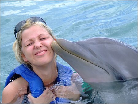 Sổ tay du lịch so tay du lich Sotaydulich Sotay Dulich Khampha Kham Pha Bui Ngam ca heo o Dolphine Cove o Jamaica