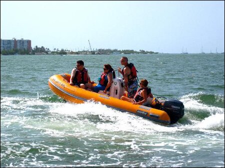 Sổ tay du lịch so tay du lich Sotaydulich Sotay Dulich Khampha Kham Pha Bui Ngam ca heo o Dolphine Cove o Jamaica