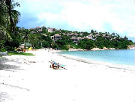 Sổ tay du lịch so tay du lich Sotaydulich Sotay Dulich Khampha Kham Pha Bui Ngam ca heo o Dolphine Cove o Jamaica
