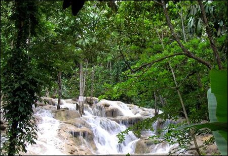 Sổ tay du lịch so tay du lich Sotaydulich Sotay Dulich Khampha Kham Pha Bui Ngam ca heo o Dolphine Cove o Jamaica