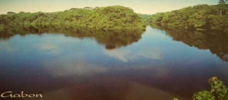 Sổ tay du lịch so tay du lich Sotaydulich Sotay Dulich Khampha Kham Pha Bui Gabon vuon dia dang cua chau Phi