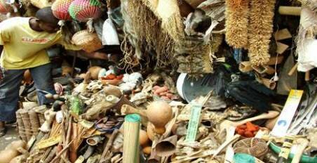 Sổ tay du lịch so tay du lich Sotaydulich Sotay Dulich Khampha Kham Pha Bui Gabon vuon dia dang cua chau Phi