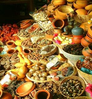 Sổ tay du lịch so tay du lich Sotaydulich Sotay Dulich Khampha Kham Pha Bui Gabon vuon dia dang cua chau Phi