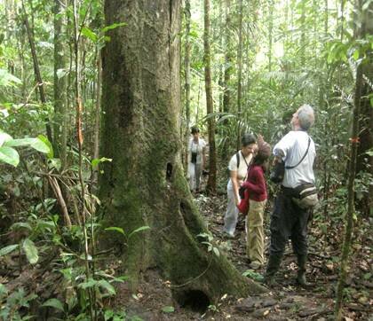 Sổ tay du lịch so tay du lich Sotaydulich Sotay Dulich Khampha Kham Pha Bui Manaus trai tim cua Amazon
