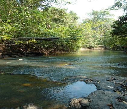 Sổ tay du lịch so tay du lich Sotaydulich Sotay Dulich Khampha Kham Pha Bui Manaus trai tim cua Amazon