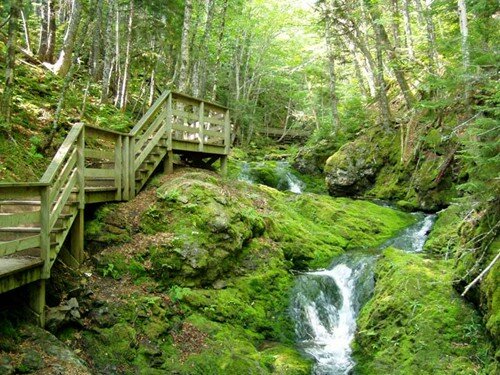 Sổ tay du lịch so tay du lich Sotaydulich Sotay Dulich Khampha Kham Pha Bui Ho xanh nui tuyet tren day Rocky Moutains