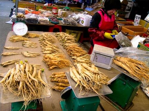 Sổ tay du lịch so tay du lich Sotaydulich Sotay Dulich Khampha Kham Pha Bui Di cho phien truyen thong Han Quoc