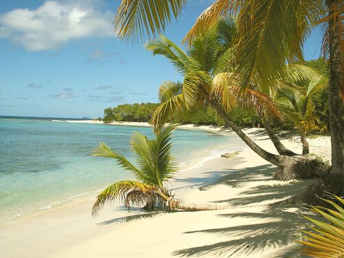 sotaydulich sotay dulich khampha kham pha bui caribean
