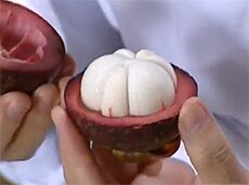 Sotaydulich Sotay Dulich Khampha Kham Pha Bui Gỏi măng cụt chua ngọt goi mang cut chua ngot
