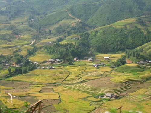 Sotaydulich Sotay Dulich Khampha Kham Pha Bui Vang uom sa pa
