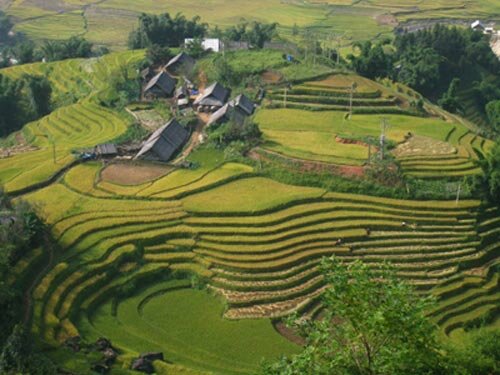 Sotaydulich Sotay Dulich Khampha Kham Pha Bui Vang uom sa pa