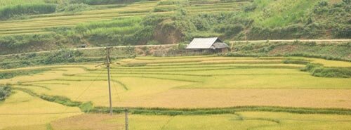 Sotaydulich Sotay Dulich Khampha Kham Pha Bui Vang uom sa pa