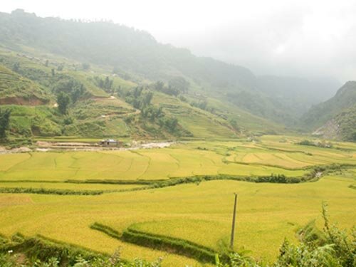 Sotaydulich Sotay Dulich Khampha Kham Pha Bui Vang uom sa pa