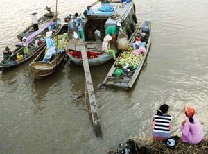 Sotaydulich Sotay Dulich Khampha Kham Pha Bui Du ngoan Cho noi mien Tay