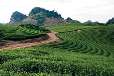 Sotaydulich Sotay Dulich Khampha Kham Pha Bui Dat va nguoi cao nguyen Moc Chau