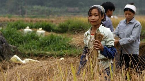 Sotaydulich Sotay Dulich Khampha Kham Pha Bui nuoc non Cao Bang