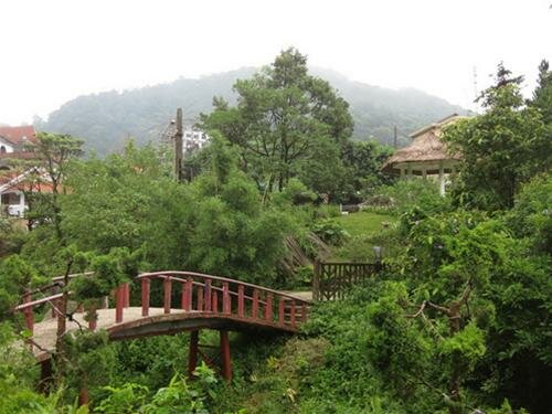 Sotaydulich Sotay Dulich Khampha Kham Pha Bui tam Dao mua xanh