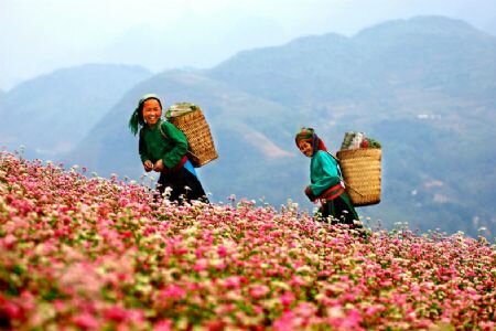 Sotaydulich Sotay Dulich Khampha Kham Pha Bui Lung Cu Cuc bac cua to quoc