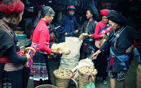 Sotaydulich Sotay Dulich Khampha Kham Pha Bui Kham pha Sin Ho