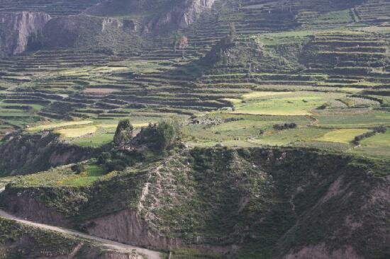 Sotaydulich Sotay Dulich Khampha Kham Pha Bui Colca Canyon hem nui sau nhat the gioi