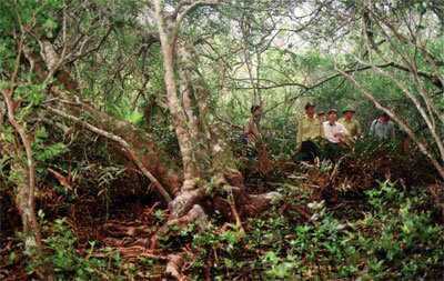 Sotaydulich Sotay Dulich Khampha Kham Pha Bui Vuon quoc gia Bai Tu Long Nguyen so va quyen ru
