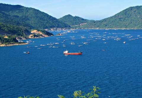 Sotaydulich Sotay Dulich Khampha Kham Pha Bui Ve dep mui Dai Lanh