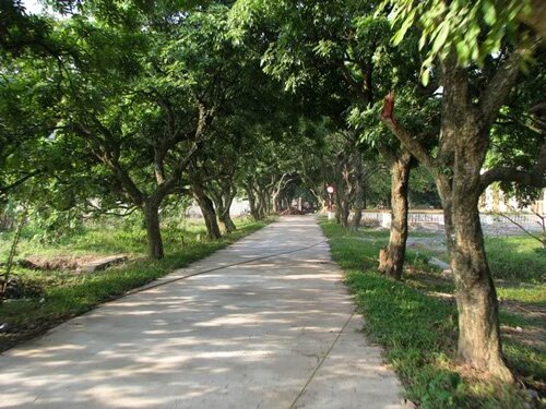 Sotaydulich Sotay Dulich Khampha Kham Pha Bui Den chua Ba Danh ngam canh thanh vang