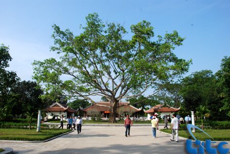 Description: http://www.vietnamtourism.gov.vn/images/stories/KimLien_phi2009.jpg