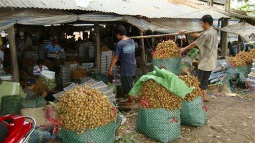 Sổ tay du lịch so tay du lich Sotaydulich Sotay Dulich Khampha Kham Pha Bui Tham quan cu lao An Binh