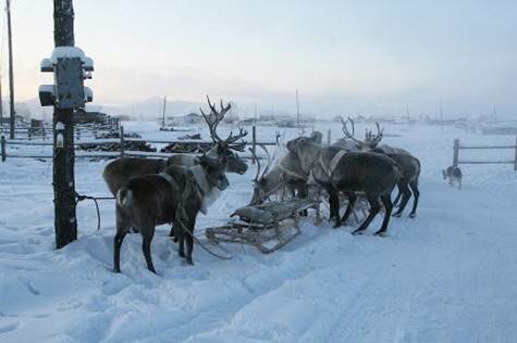 Sổ tay du lịch so tay du lich Sotaydulich Sotay Dulich Khampha Kham Pha Bui Oymyakon ngoi lang bang gia