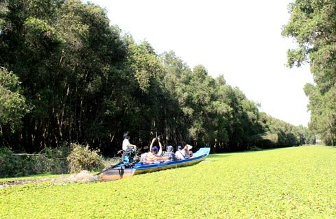 Sổ tay du lịch so tay du lich Sotaydulich Sotay Dulich Khampha Kham Pha Bui Tham rung tram Tra Su