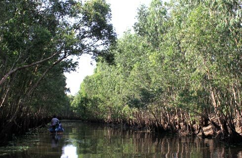 Sổ tay du lịch so tay du lich Sotaydulich Sotay Dulich Khampha Kham Pha Bui Tham rung tram Tra Su