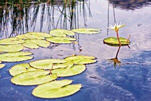 Sổ tay du lịch so tay du lich Sotaydulich Sotay Dulich Khampha Kham Pha Bui Du ngoan van long