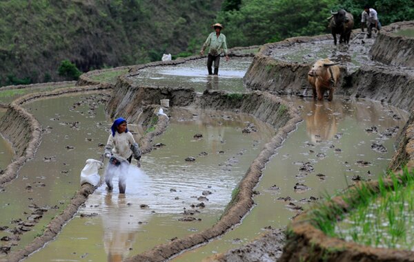  Sổ tay du lịch so tay du lich Sotaydulich Sotay Dulich Khampha Kham Pha Bui Nhip dieu ngay mua o vung cao bat xat