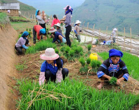  Sổ tay du lịch so tay du lich Sotaydulich Sotay Dulich Khampha Kham Pha Bui Nhip dieu ngay mua o vung cao bat xat