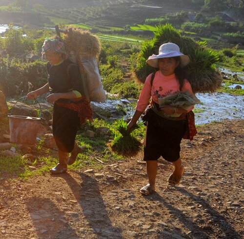  Sổ tay du lịch so tay du lich Sotaydulich Sotay Dulich Khampha Kham Pha Bui Nhip dieu ngay mua o vung cao bat xat