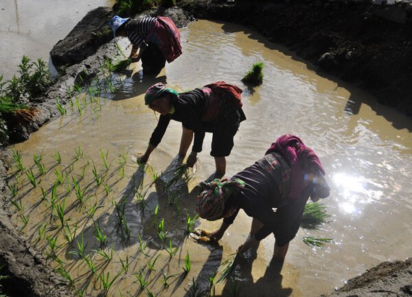  Sổ tay du lịch so tay du lich Sotaydulich Sotay Dulich Khampha Kham Pha Bui Nhip dieu ngay mua o vung cao bat xat