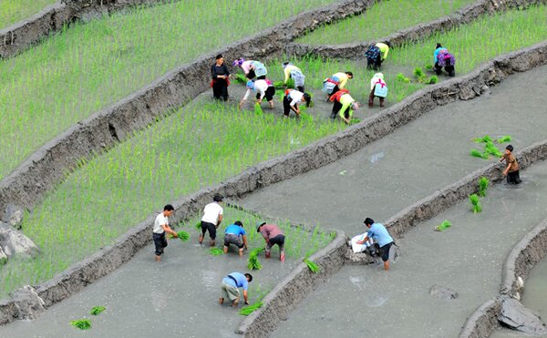  Sổ tay du lịch so tay du lich Sotaydulich Sotay Dulich Khampha Kham Pha Bui Nhip dieu ngay mua o vung cao bat xat