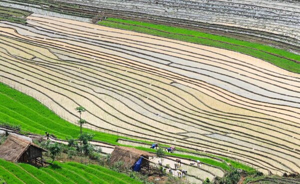  Sổ tay du lịch so tay du lich Sotaydulich Sotay Dulich Khampha Kham Pha Bui Nhip dieu ngay mua o vung cao bat xat