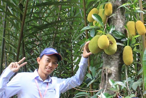 Sổ tay du lịch so tay du lich Sotaydulich Sotay Dulich Khampha Kham Pha Bui Tham cu lao Thoi son