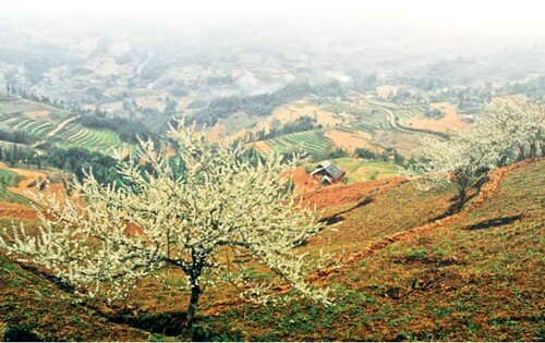 Sổ tay du lịch so tay du lich Sotaydulich Sotay Dulich Khampha Kham Pha Bui Bac Ha mua man Tam Hoa chin