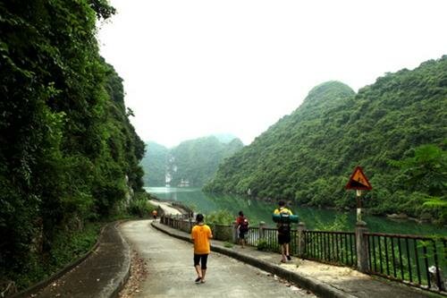 Sổ tay du lịch so tay du lich Sotaydulich Sotay Dulich Khampha Kham Pha Bui Benh bong Lan Ha