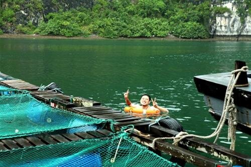 Sổ tay du lịch so tay du lich Sotaydulich Sotay Dulich Khampha Kham Pha Bui Benh bong Lan Ha