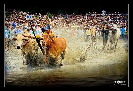 Sổ tay du lịch so tay du lich Sotaydulich Sotay Dulich Khampha Kham Pha Bui Kinh nghiem du lich bui An Giang