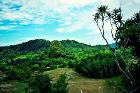 Sổ tay du lịch so tay du lich Sotaydulich Sotay Dulich Khampha Kham Pha Bui Da Nang diem hen mua he 2012