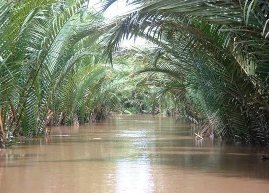 Sổ tay du lịch so tay du lich Sotaydulich Sotay Dulich Khampha Kham Pha Bui Kinh nghiem du lich Bui Ben Tre