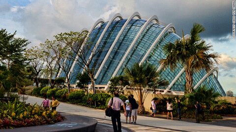 Sổ tay du lịch so tay du lich Sotaydulich Sotay Dulich Khampha Kham Pha Bui Gardens by the Bay ky quan tuyet my tai Singapore