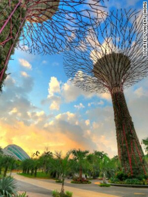 Sổ tay du lịch so tay du lich Sotaydulich Sotay Dulich Khampha Kham Pha Bui Gardens by the Bay ky quan tuyet my tai Singapore